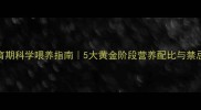 拉布拉多幼犬发育期科学喂养指南5大黄金阶段营养配比与禁忌附权威食谱