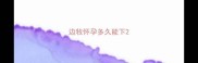边牧怀孕多久能下