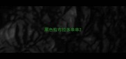 黑色拉布拉多串串