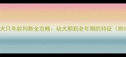 拉布拉多犬只年龄判断全攻略幼犬期到老年期的特征附对比图