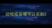 边牧疫苗哪可以买到