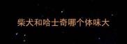 柴犬和哈士奇哪个体味大