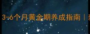 幼犬饲养全攻略3-6个月黄金期养成指南新手必看养宠干货