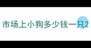 市场上小狗多少钱一只