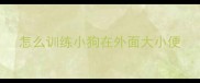 怎么训练小狗在外面大小便