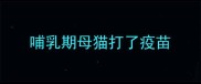 哺乳期母猫打了疫苗