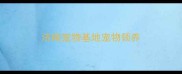 济南宠物基地宠物领养
