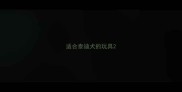 适合泰迪犬的玩具