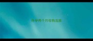 怀孕两个月母狗流脓