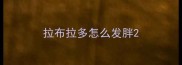 拉布拉多怎么发胖