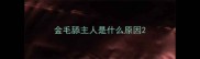 金毛舔主人是什么原因