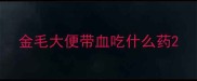 金毛大便带血吃什么药