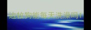 边牧狗能每天洗澡吗