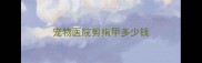 宠物医院剪指甲多少钱