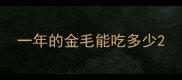 一年的金毛能吃多少