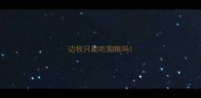 边牧只能吃狗粮吗