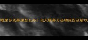 哈士奇眼屎多流鼻涕怎么办幼犬眼鼻分泌物原因及解决方法全