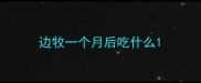 边牧一个月后吃什么