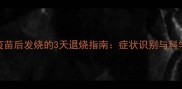 猫咪打疫苗后发烧的3天退烧指南症状识别与科学护理全