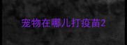 宠物在哪儿打疫苗