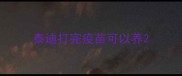 泰迪打完疫苗可以养