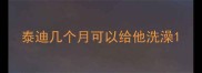 泰迪几个月可以给他洗澡