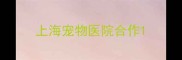 上海宠物医院合作