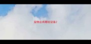 宠物店有哪些设备