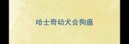哈士奇幼犬会狗瘟