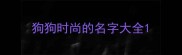 狗狗时尚的名字大全