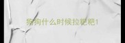 狗狗什么时候拉粑粑