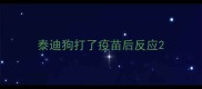 泰迪狗打了疫苗后反应