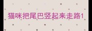 猫咪把尾巴竖起来走路