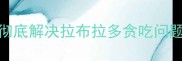 5大科学训练法彻底解决拉布拉多贪吃问题附实操指南