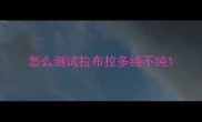 怎么测试拉布拉多纯不纯