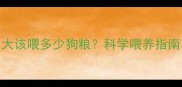 泰迪幼犬2个月大该喂多少狗粮科学喂养指南与营养方案全