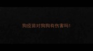 狗疫苗对狗狗有伤害吗