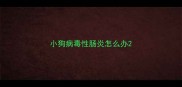 小狗病毒性肠炎怎么办