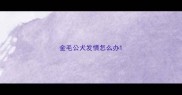 金毛公犬发情怎么办