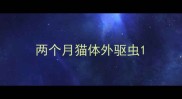 两个月猫体外驱虫