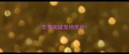 东莞南城宠物美容