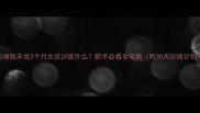 边境牧羊犬3个月大该训练什么新手必看全攻略附30天训练计划