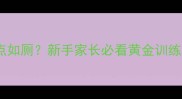 幼犬3个月学会定点如厕新手家长必看黄金训练期指南附实操手册