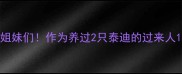 姐妹们作为养过2只泰迪的过来人