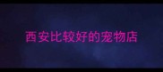 西安比较好的宠物店