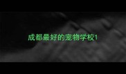 成都最好的宠物学校