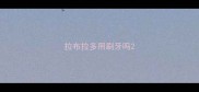 拉布拉多用刷牙吗