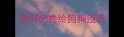 深圳免费给狗狗疫苗