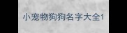 小宠物狗狗名字大全