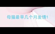 母猫最早几个月发情